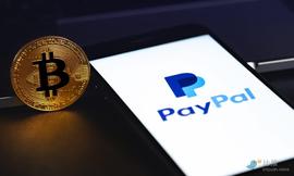 PayPal首席执行官：我们将在数字钱包方面加倍努力_PAY:数字钱包