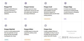 Polygon DAO 推出 Polygon Village：网络扩展解决方案套件_DAO:POLY
