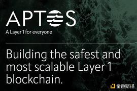 了解新生公链Aptos：Diem原班人马再造公链的“出埃及记”_区块链:Over Powered Coin