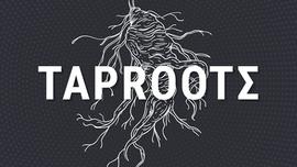 比特币Taproot升级和Ergo西格玛协议_比特币:ERG