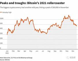 为什么2021年是加密货币最疯狂的一年？_COIN:OIN