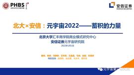 北大×安信：元宇宙2022 蓄积的力量_区块链:无聊猿nft交易平台