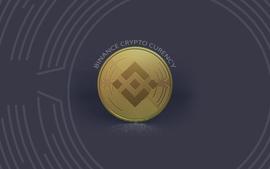 币安与尼日利亚合作开发数字经济区_加密货币:NCE