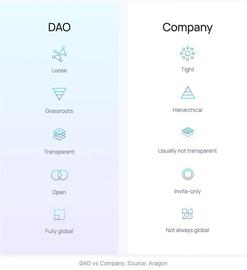 有人称2022年将会是DAO的元年_DAO:WAVES