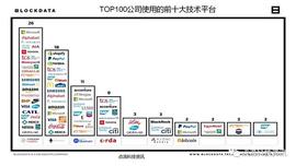 2021年全球企业级区块链应用有哪些？主要使用哪些技术平台？_区块链:莱特币和比特币的区别图片