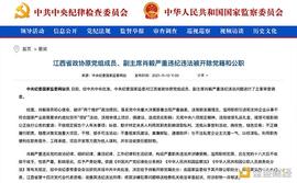 首例 副省级官员滥用职权 引进虚拟货币“挖矿” 双开_区块链:DIS