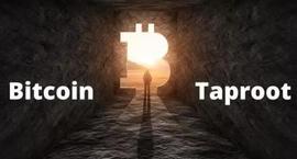 一文看懂比特币Taproot升级_比特币:growth Root Token