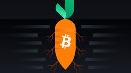 Taproot激活前瞻 一文了解Bitcoiner该做什么_OOT:区块链