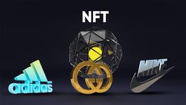 REVA再创NFT托管新记录!Boodles等企业相继入局_EVA:APP