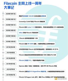 Filecoin 主网上线的一年里都发生了些什么？_FIL:OIN
