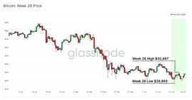 Glassnode报告：今年第二轮“投降” 比特币矿工的抛压来了_NFT:ACE