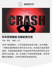币市恐慌肆虐 巨鲸趁势扫货？_比特币:ASS