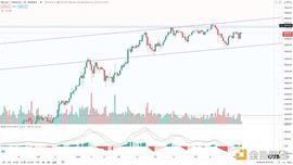 金色趋势丨与趋势为伍 自然是赢家_比特币:BTC