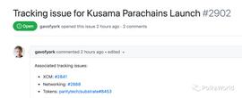 Gavin Wood发布平行链上线清单，拍卖如何兼顾收益与流动性？_KUSA:AMA
