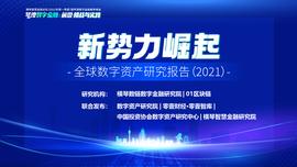 新势力崛起——全球数字资产研究报告（2021）_数字资产:数字人