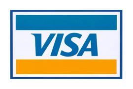 观点：Visa的一小步，加密时代的一大步_ISA:数字货币被了几十万