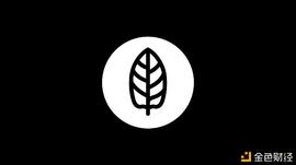 如何为代币网络评估新的社区建设者_NFT:虚拟资产