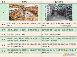 312过去一年了 比特币还是巴菲特口中的