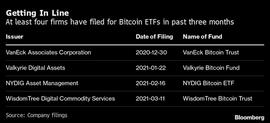 美国SEC主席尚未就任 基金公司已纷纷备战比特币ETF_SEC:sec币最新消息