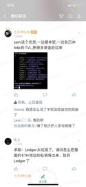 狂吸45亿美金，SBF、神鱼等挖矿大佬都挖的BDP怎么参与？_BDP:ALPHA