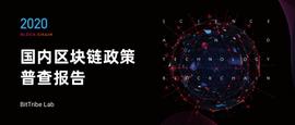 研究 | 2020国内区块链政策普查报告_区块链:SECO