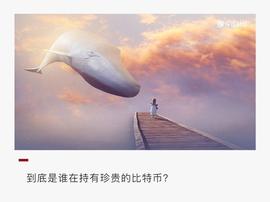 围观比特币巨鲸：这23家机构持有88万枚比特币_比特币:加密货币