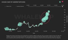 比特币鲸鱼集群显示：“机构FOMO”是本轮比特币上涨的背后推手_EFI:TRTL