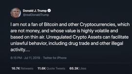 混乱是阶梯,比特币不关心美国大选_DOT:加密货币