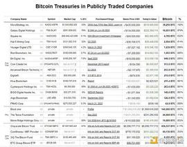 BTC比以往任何时候都接近成为全球储备货币_EGY:Quasar