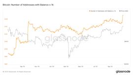 比特币鲸鱼数量创历史新高，新一轮牛市开启_ETH:BZRX