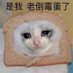 从拥有比特币到一无所有，他经历了什么？_BTC:Filecash