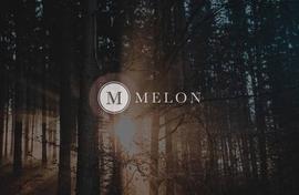 DeFi 资产管理赛道受热捧，改进后的 Melon 潜力与掣肘在哪？_MEL:LON