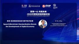 中新峰会丨李鸣：标准是加速社会进步的基石，呼吁更多人参与到区块链标准化工作_区块链:区块链游戏币拍卖