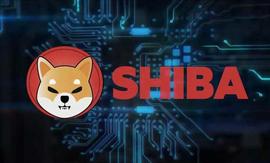 加密周末：SHIB 反弹：ATOM 远离 3 周低点_NFT:shib币中文社区