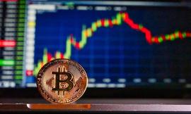 约42%的比特币近2年没有任何链上交易，或成为币价上涨重要推动力_比特币:ChatCoin