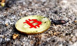 新加坡加密货币监管法生效，全球公司均可申请牌照_COS:dpr币今日行情