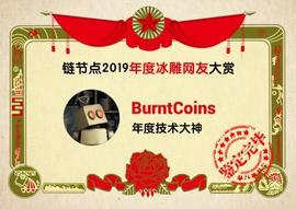 年终特辑 | 链节点2019年度冰雕网友大赏_NFT:nfts币现在多少钱一个