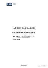 金融稳定理事会：大型高科技企业进军金融科技的最新进展及其潜在的风险_加密货币:区块链