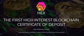 融资 3000 万的「去中心化局」，创始人竟能轻易可拿走一半？_HEX:ART