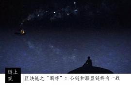 区块链之“羁绊”：公链和联盟链终有一战_区块链:usd币怎么兑换人民币