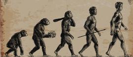人类的600万年，信任的600万年_区块链:比特币