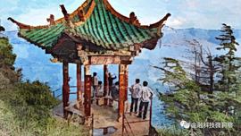 中国区块链标准往事_区块链:OLO
