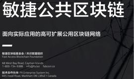 FAB公链Fast Acces Blockchain 多链同行，会成为下一个牛市的新独角兽吗？_比特币:比特币大连夫妻跳海早了