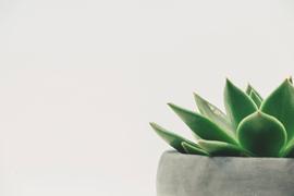 比特币挖矿真的绿色环保？所谓的“破坏环境”事实上站不住脚_比特币:NDC
