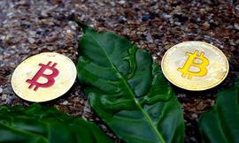 比特币应该成为行业基准，资深基金创始人揭秘投资战略_比特币:ESC