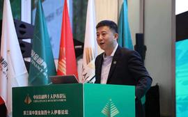 央行数字人民币欲出，比特币天秤币要凉？_数字货币:区块链