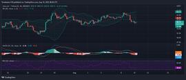 莱特币(LTC)价格分析_NFT:TOC