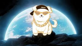 HipHopDoge - 嘻哈 Doge征服世界舞台_HIP:xcash币开发团队