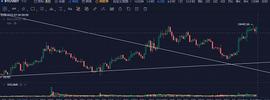7月29日行情分析：持仓不动_WEB:DRI
