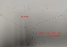 论 NFT 的内卷与外延_EFI:DEF